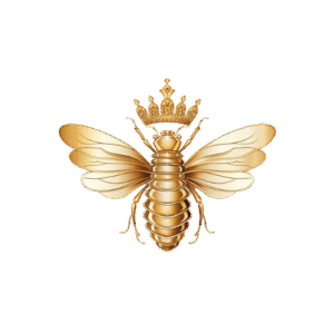 O Design